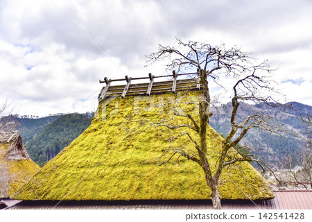 Thatched roof (Miyama Kayabuki no Sato) Thatched roof (Miyama Kayabuki no Sato) 142541428