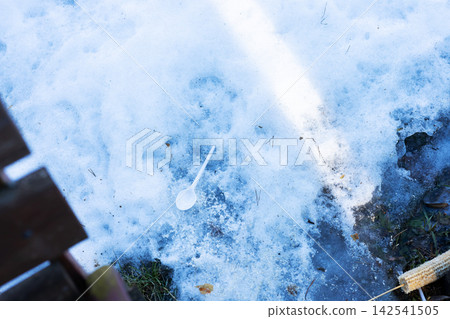 Snow melts quickly. Warm weather reveals thawed wood. Frozen snow gives way to moist wood surface Snow melts quickly. Warm weather reveals thawed wood. Frozen snow gives way to moist wood surface 142541505