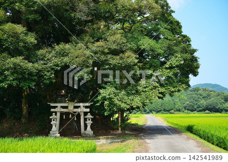 鳥取縣西白郡南部町覺神社(大原神社) 鳥取縣西白郡南部町覺神社(大原神社) 142541989