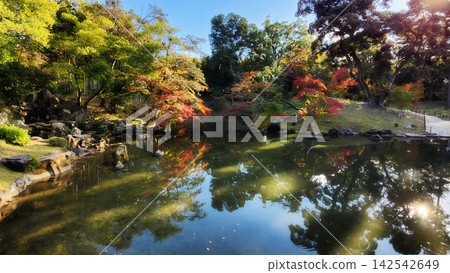 岡山後樂園,秋葉倒映在池塘的花園。 岡山後樂園,秋葉倒映在池塘的花園。 142542649