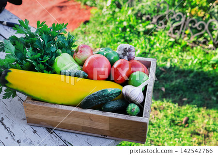 Fresh vegetable melange on wooden rustic background. Fresh vegetable melange on wooden rustic background. 142542766
