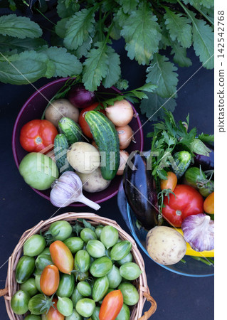 Fresh vegetables collected from the garden today Fresh vegetables collected from the garden today 142542768