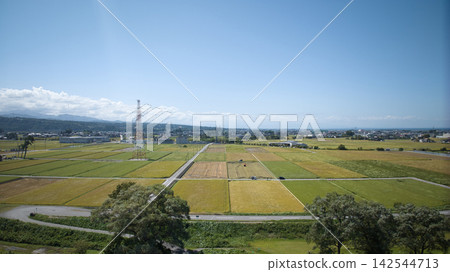 這是日本富山縣黑部川沖積扇在水稻收割季節接近時的景象。 這是日本富山縣黑部川沖積扇在水稻收割季節接近時的景象。 142544713