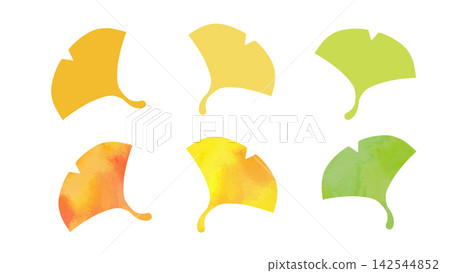 Watercolor-style ginkgo leaf parts set Watercolor-style ginkgo leaf parts set 142544852