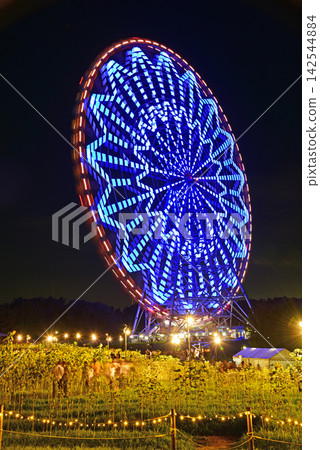 一個向日葵領域在夏天 一個向日葵領域在夏天 142544884
