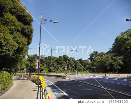 從北之丸公園附近可以看到綠樹成蔭的道路和蔚藍的天空。 從北之丸公園附近可以看到綠樹成蔭的道路和蔚藍的天空。 142545303