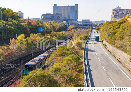 神戶市營地鐵聖心山手線學園都會站週邊的秋日景色 神戶市營地鐵聖心山手線學園都會站週邊的秋日景色 142545751