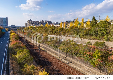 神戶市營地鐵聖心山手線學園都會站週邊的秋日景色 神戶市營地鐵聖心山手線學園都會站週邊的秋日景色 142545752