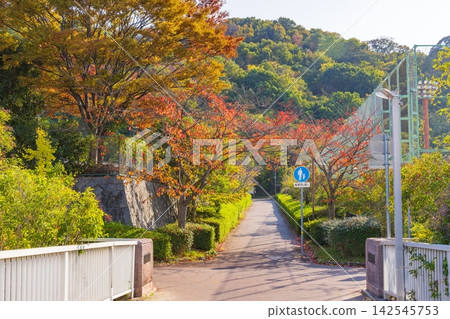 從位於神戶市西區學園東町的東東京外國語大學人行天橋上眺望秋季的高塚山。 142545753
