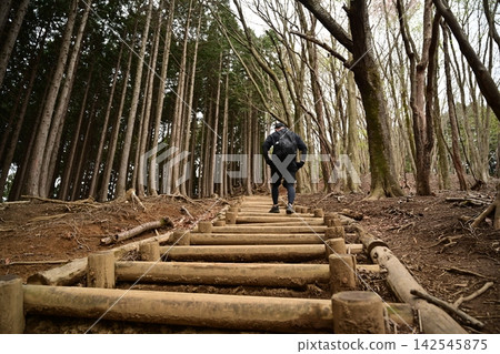 A man climbing stairs in the woods. (Mountain climbing, trekking, outdoor activities) A man climbing stairs in the woods. (Mountain climbing, trekking, outdoor activities) 142545875