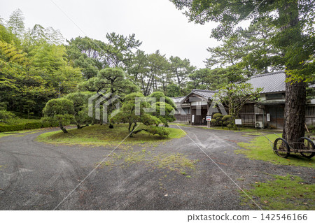 沼津皇居紀念公園的夏天 沼津皇居紀念公園的夏天 142546166