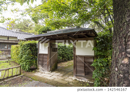 沼津皇居紀念公園的夏天 沼津皇居紀念公園的夏天 142546167