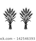 Black and White Wheat Ears Vector Set 142546393
