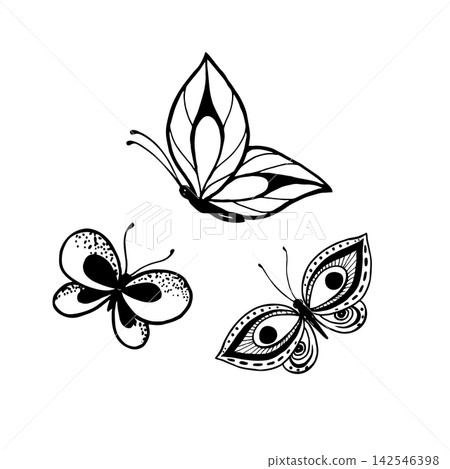 Vector illustration of funny butterflies. Line art drawing of butterflies. Vector illustration of funny butterflies. Line art drawing of butterflies. 142546398