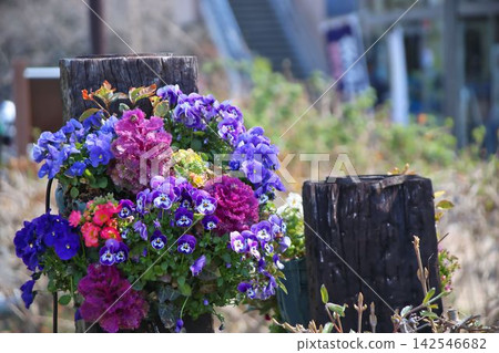 用鮮花的風景 用鮮花的風景 142546682