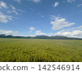Autumn countryside landscape under a blue sky 142546914