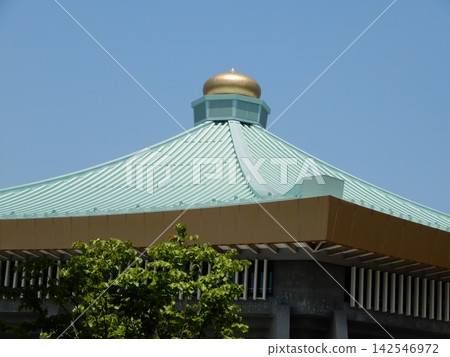 Nippon Budokan 142546972