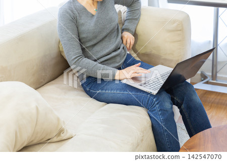 操作帶沙發的筆記本電腦的女人 操作帶沙發的筆記本電腦的女人 142547070