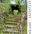 Old abandoned concrete military bunker entrance in a green autumn forest with stone stairs covered in moss and fallen leaves, perfect for historical documentaries, survival guides and dark adventure g 142547155