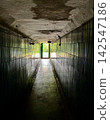 Dark narrow underground bunker corridor with green tile walls leading toward the exit into bright daylight, suitable for historical, military, shelter and survival concepts. 142547186