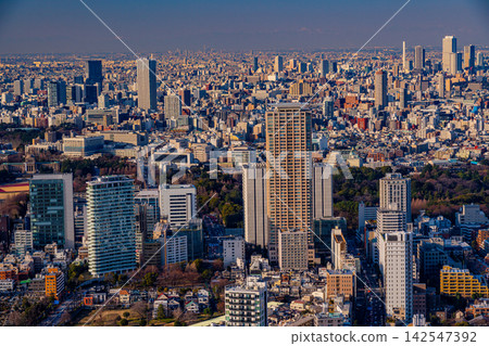 【東京】從六本木新城屋頂眺望東京城市夜景 【東京】從六本木新城屋頂眺望東京城市夜景 142547392