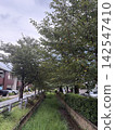 A waterway in a residential area surrounded by green trees 142547410