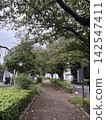 "A promenade in a residential area surrounded by green trees" 142547411