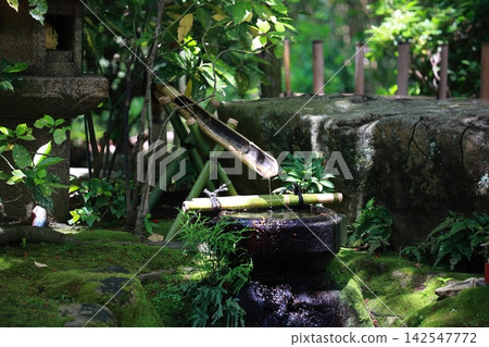 陰涼處的驅鹿器 陰涼處的驅鹿器 142547772