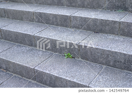 Staircase, park, art museum, autumn, September, image Staircase, park, art museum, autumn, September, image 142549764
