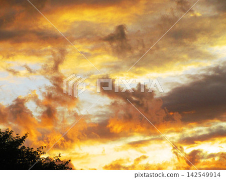 A beautiful scene of a crimson sunset sky (near Kawaguchi City, Saitama Prefecture) A beautiful scene of a crimson sunset sky (near Kawaguchi City, Saitama Prefecture) 142549914