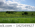 Marshland within marshland and spreading clouds Marshland within marshland and spreading clouds 142549927