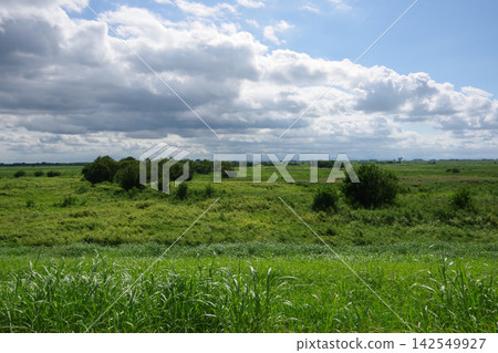 Marshland within marshland and spreading clouds Marshland within marshland and spreading clouds 142549927