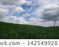 Grassland, blue sky, and embankment Grassland, blue sky, and embankment 142549928