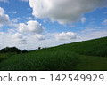 Hills and embankments visible beyond the grassland Hills and embankments visible beyond the grassland 142549929