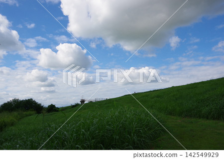 草地之外,可以看到山丘和堤防。 草地之外,可以看到山丘和堤防。 142549929