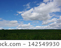 Vast grasslands and embankments Vast grasslands and embankments 142549930