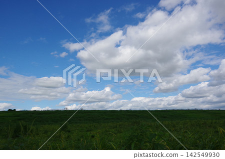 Vast grasslands and embankments Vast grasslands and embankments 142549930