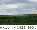 A wetland within a wetland and a bank A wetland within a wetland and a bank 142549931