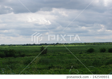 A wetland within a wetland and a bank A wetland within a wetland and a bank 142549931