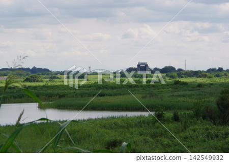 River landscape, embankment and wetland River landscape, embankment and wetland 142549932