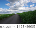 A road and embankment leading to the heavens A road and embankment leading to the heavens 142549935