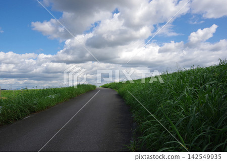 一條通往天堂的道路和堤岸 一條通往天堂的道路和堤岸 142549935