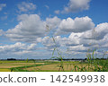 Summer blue sky, white clouds, embankment, and wetland Summer blue sky, white clouds, embankment, and wetland 142549938