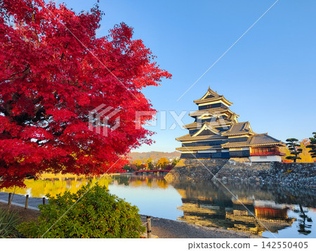 Matsumoto Castle in autumn (dawn) Matsumoto Castle in autumn (dawn) 142550405