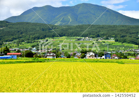 View of Mt. Iizuna and Mt. Reizenji from Mure, Iizuna Town, Nagano Prefecture (Iizuna Town, Nagano Prefecture) [September 2026] 142550452