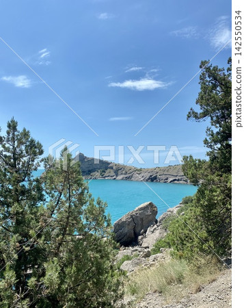 Turquoise coastal bay appears between rugged rocks and dense evergreen trees. 142550534