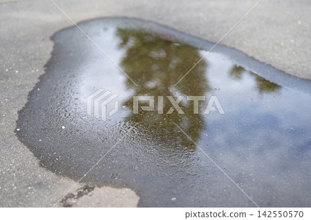 The ground after the rain, asphalt, autumn rain, September image The ground after the rain, asphalt, autumn rain, September image 142550570