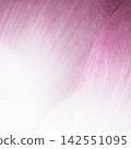 Macro closeup of pink lotus flower petal texture 142551095