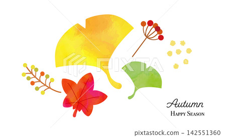 Watercolor-style autumn background material featuring ginkgo leaves and maple leaves. Watercolor-style autumn background material featuring ginkgo leaves and maple leaves. 142551360
