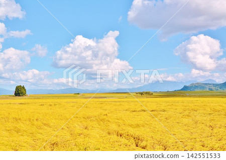 Fertile countryside 142551533